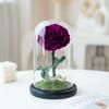 Unsterbliche Blume, die Rose des kleinen Prinzen, echte Blume getrocknete Blume, hochwertiges Fertigprodukt, Geschenk zum Geburtstag und Valentinstag für den Freund.