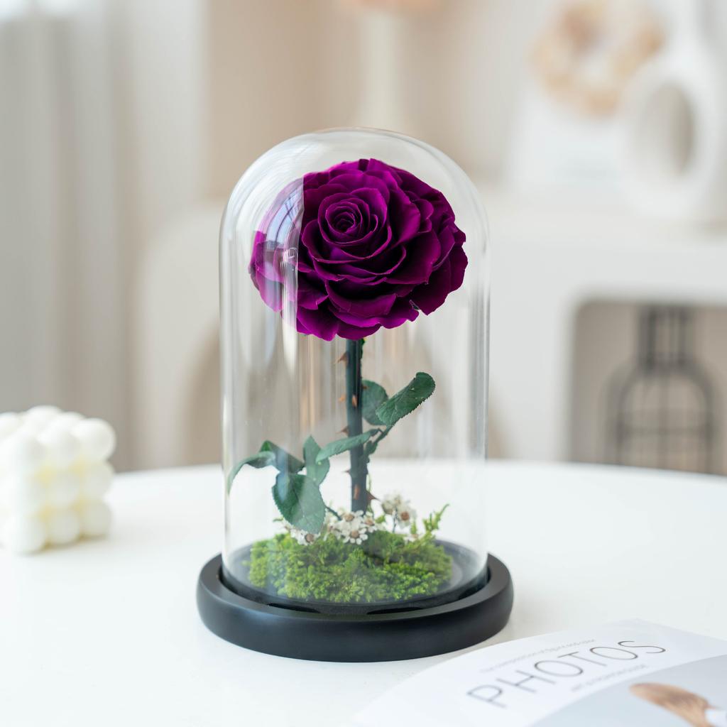 Unsterbliche Blume, die Rose des kleinen Prinzen, echte Blume getrocknete Blume, hochwertiges Fertigprodukt, Geschenk zum Geburtstag und Valentinstag für den Freund.