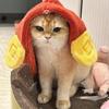 Hair Drying Towel Absorbent God of Wealth Hair Wrap with Button Fast