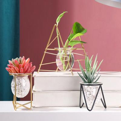 Decoration Plants Frame Terrarium Metal Holder Glass Planter Iron Geometric Pattern Hydroponic Vase