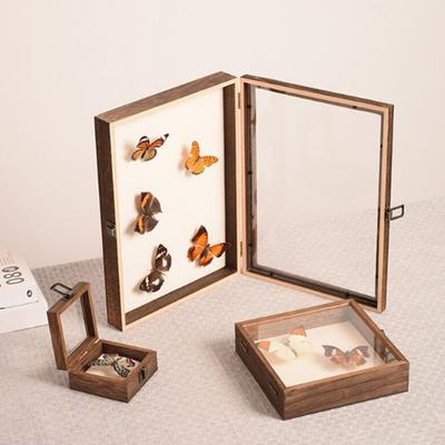 High-Visibility Display Box Large Insect Shadow Box Wood Construction Multiple Sizes Smooth Edge