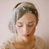 V002 Soft Mesh Hand-Sewn Bridal Veil with Half-Pearl Embellishments