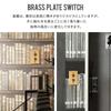 American Switch Brass Plate 2-Switch HS2336 C-F-1 CSZ AXCIS