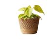 Rattan Woven Flower Pot Cover and Basket for Home Decoration