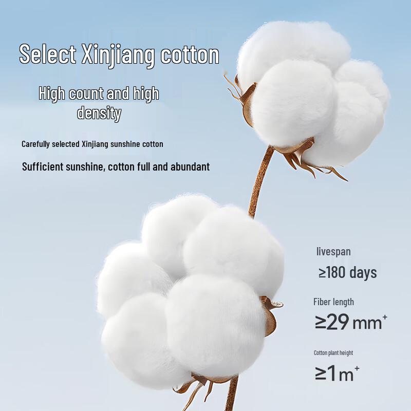 Miiow Women's High-Waist Tummy Control Cotton Briefs