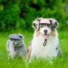 Cappellino da Baseball Regolabile per Cani con Fori per le Orecchie per Chihuahua Bulldog Francese Sport all'Aperto Cappello Parasole per Animali Domestici Visiera per Cucciolo