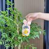 Plush Penguin Whimsical Toy Keychain Lovely Animal Pendant Perfect For Backpack