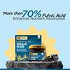 Multani Essentials Himalayan Shilajit Resin 10 g With Herbal Blend For Daily Vitality Energy Support And Rejuvenation Care
