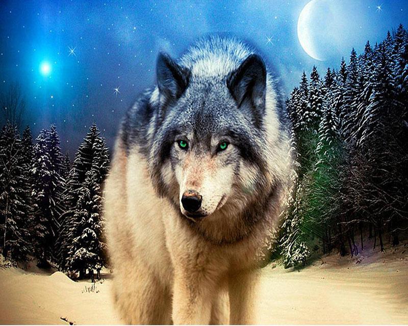 5D DIY Diamond Painting Animal Wolf Full Square/Round Diamond Embroidery Cross Stitch Mosaic Handmade Gift