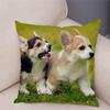 Aranyos walesi corgi pembroke kutyapárnahuzat Cm párnahuzat poliészter dekoratív kisállat állat autós kanapé otthon