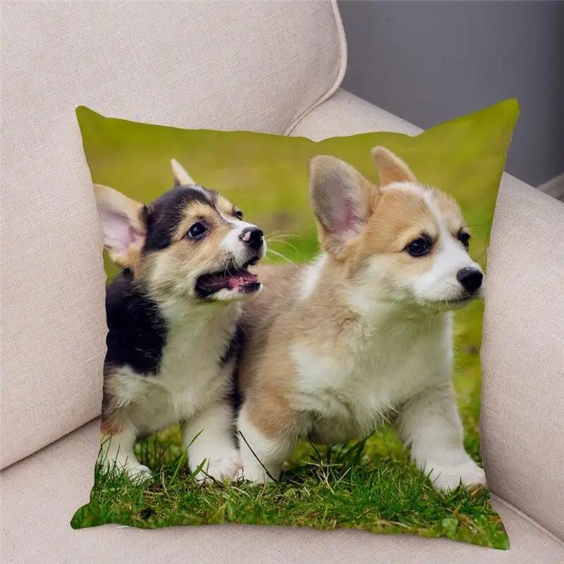 Cute Welsh Corgi Pembroke Dog Pillow Case Cm Cushion Cover Polyester Decorative Pet Animal   Car Sofa Home