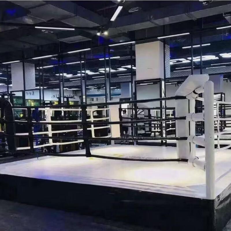 Kairui Boxing and Martial Arts Training Ring