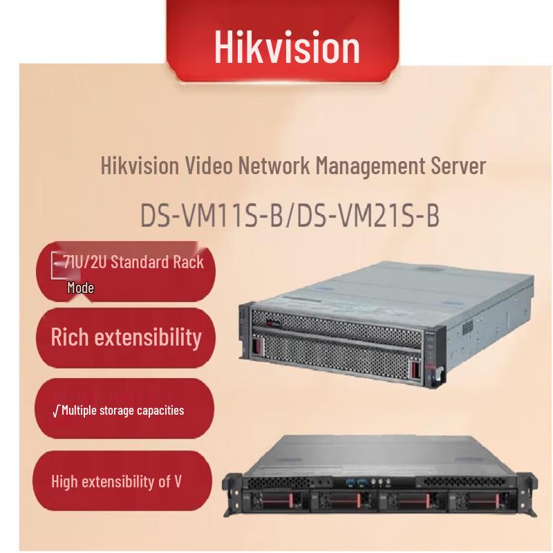 Buy Hikvision DS-VM21S-B 2U Rack Server CN Plug (adapter Included) at ...