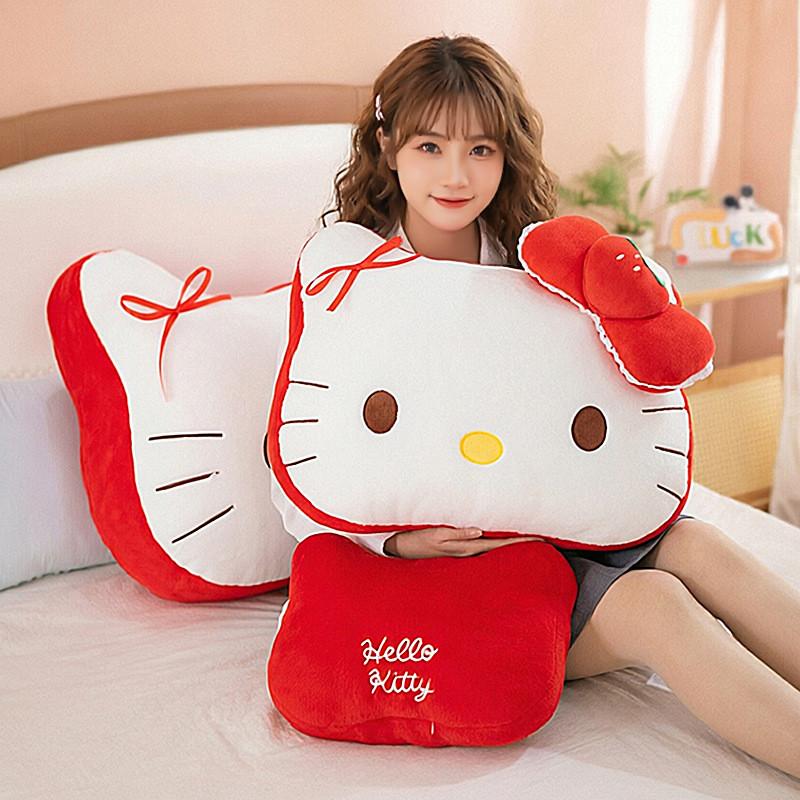Plush Pillow With Pp Cotton Filling For Gift For Teens And Kids