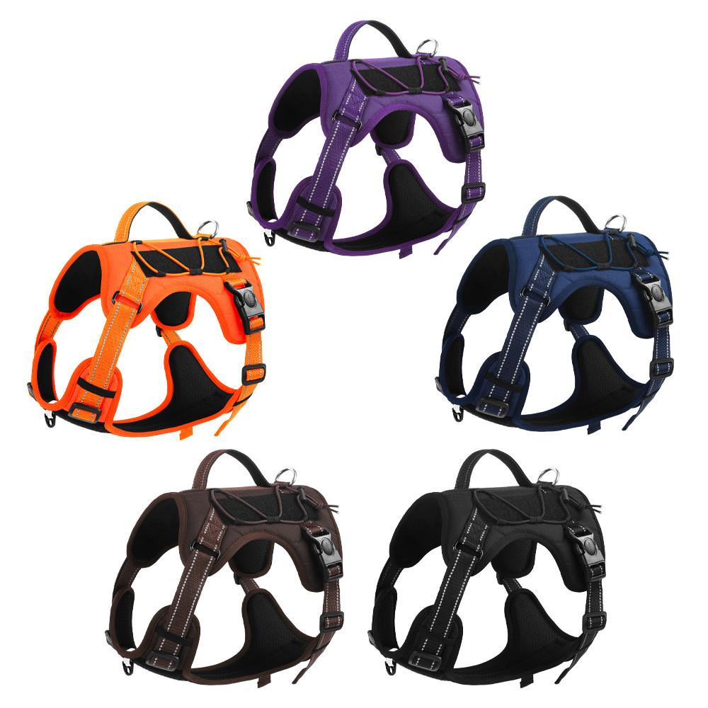 Classic Pet Harness With Reflective Adjustable Leash For Active Dogs