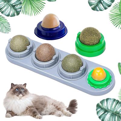 Přírodní Catnip Kitten Mint Ball Toy Treat Ball Cats Play Hračka na čištění zubů