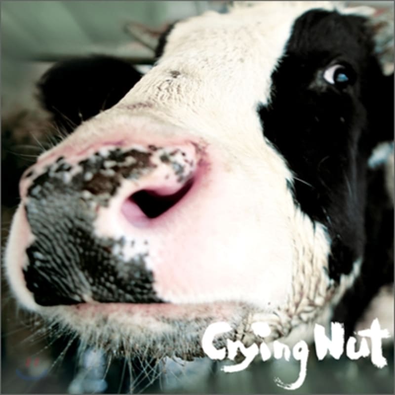 

Crying Nut 5th Album - OK Cows of the Ranch