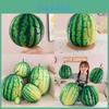 Cartoon Watermelon Stuffed Animal Cushion For Kids Bedroom Decor
