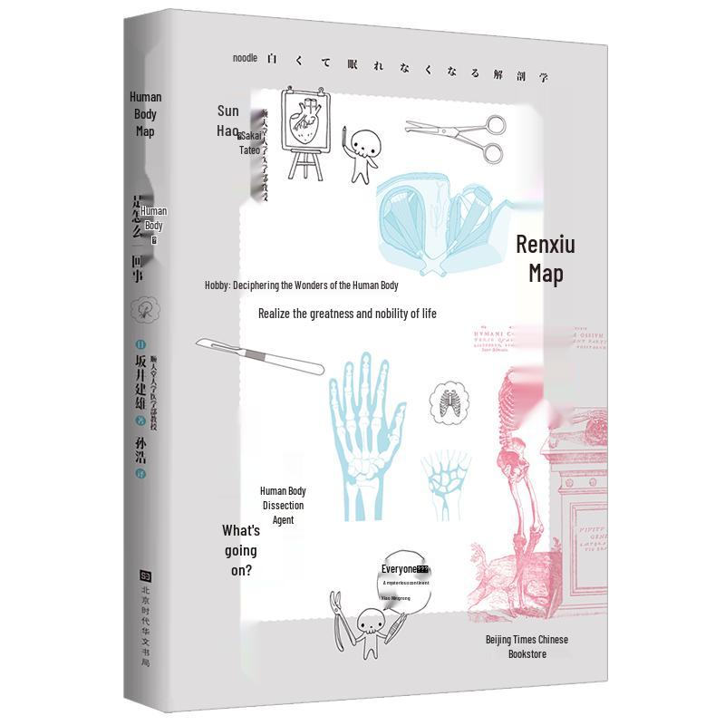 The Human Body Map: Understanding Anatomy