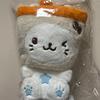NCT WISH 30cm Wish Doll Bubbleman Yuushi Wish