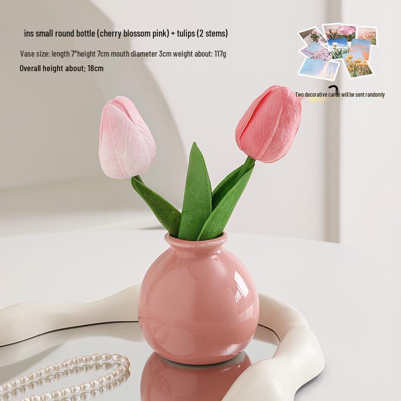 Small Ceramic Desktop Hydroponic Vase for Pothos - Simple Decorative Ornament for Office