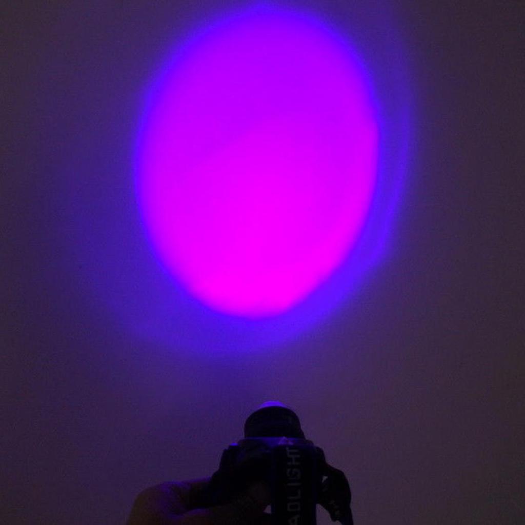 Portable Dual LEDs Zoom White + UV Light Headlamp Battery Powered Blacklight