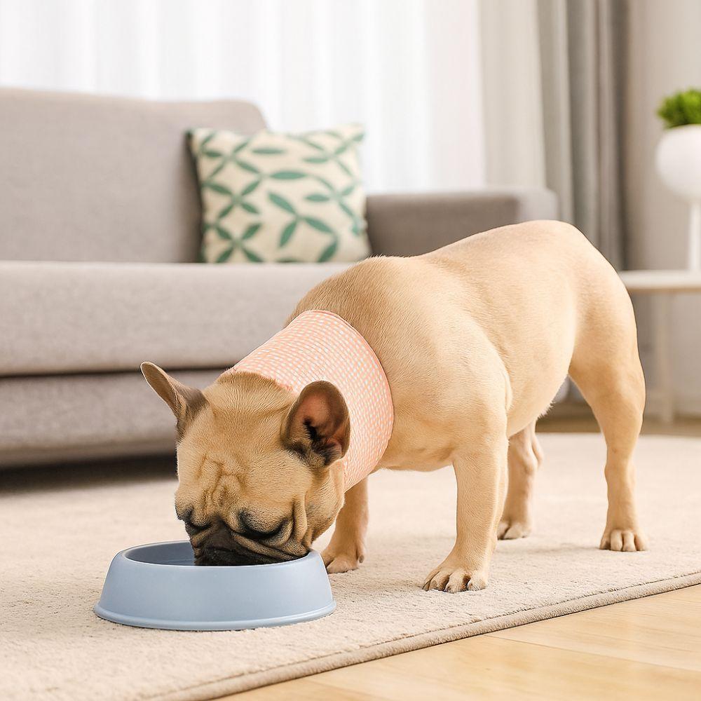 Mesh Cat Recovery Collar Soft Pet Anti-lick Collar Pet Wound Recovery Collar  Allergy Prevention