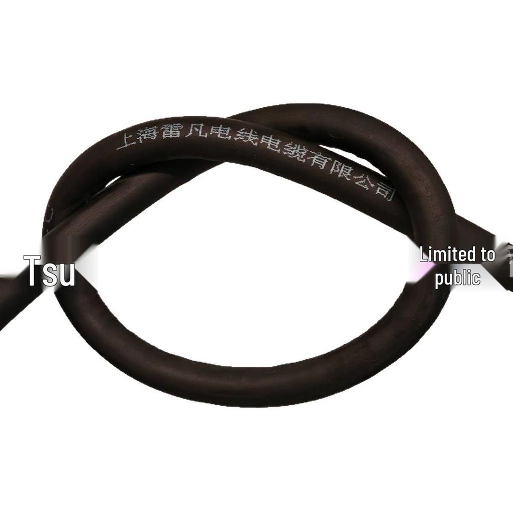 Oxygen-Free Copper Rubber Sheathed Flexible Cable, 2-Core 4 sq mm Electric Wire for Engineering.