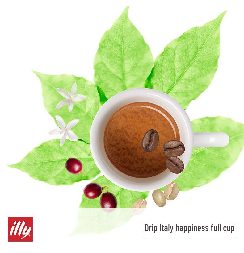 Illy Medium/Dark Roast Italian Espresso Arabica Coffee Beans, 250g Can