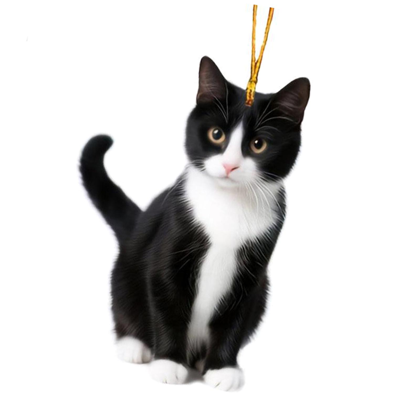 

Подвеска-кулон на зеркало заднего вида «Черный кот» для украшения салона автомобиля. Добавляет тепла и индивидуальности любому транспортному средству. 1