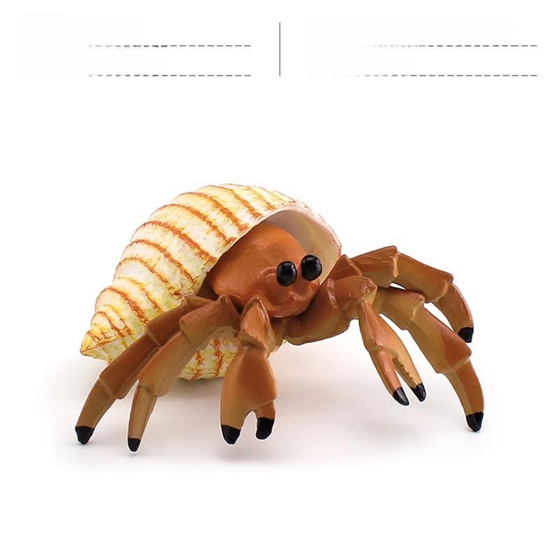 Simulation Marine Animal Pvc Hermit Crabs Sculpture For Kids Learning And Decorative Collection