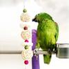 Bird Pet Bites Toy Parrot Macaw Luffa Bell Swing Scratcher Climb Toys Cockatiel Colour Random