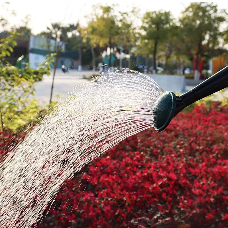Chao Zong 5L Thickened Plastic Watering Can