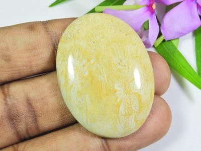 Schmuckherstellung Natürlicher Fossilkoralle Ovaler Cabochon Loser Edelstein 30X41X06 MM SK-657