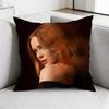 SSadie Max SSink pillowcase casual style decoration suitable for home decoration excluding pillow core