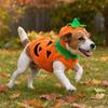 Winter Dog Coat, Warm Thick Vest for Small Medium Dogs, Leash Compatible Snowsuit, Cute Pumpkin Costume for Puppy