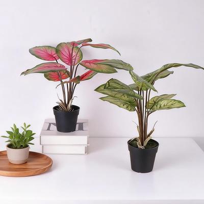 Artificial Green Plant Bonsai for Office Desk, Living Room, or Coffee Table Decoration