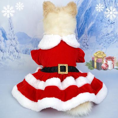 Giyim ve ayakkabı – Köpek Aksesuarları