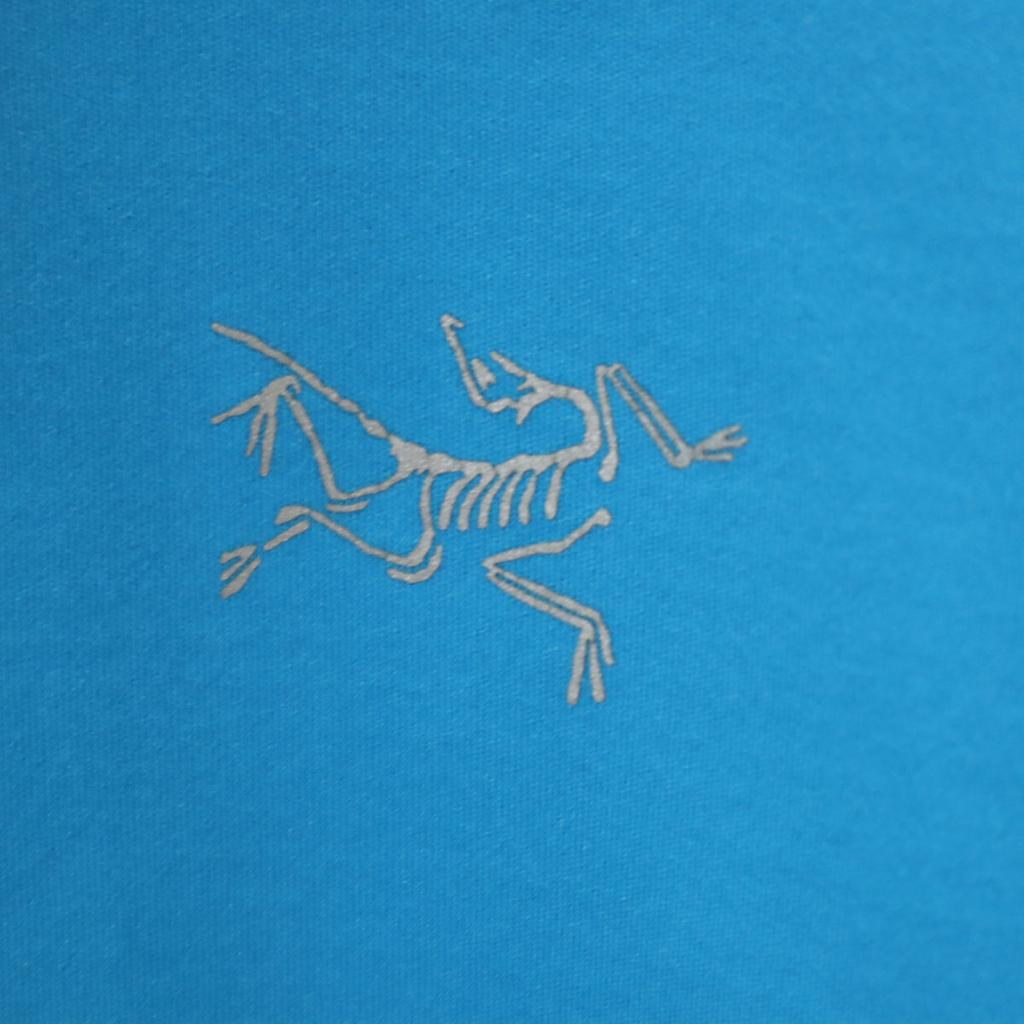 ARC'TERYX Soft shell Jacket M light blue Outdoors Men's Used