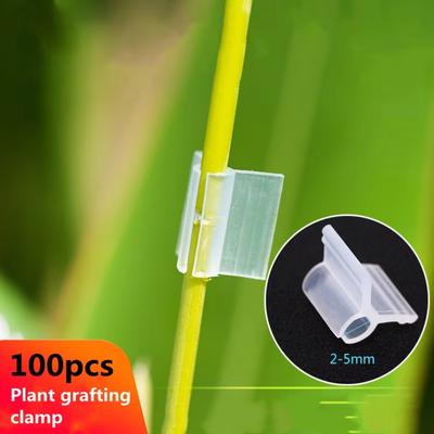 100 stücke Spezielle Pfropfen Clips Wiederverwendbare Pfropfen Befestigung Werkzeuge Feste Pfropfen Schellen Garten