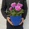 Thickened Flower Pot Resin Plant Container Creative Vase  Gardening