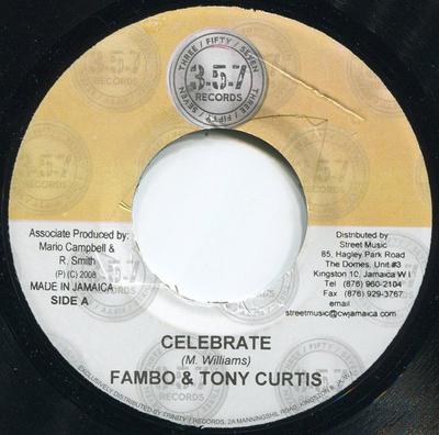 7inch Record FUTURE FAMBO / TONY CURTIS / JAH VI - Celebrate / Hype On Me NONE 357 Records 2006 Jamaica Reggae, Ska & Dub Used