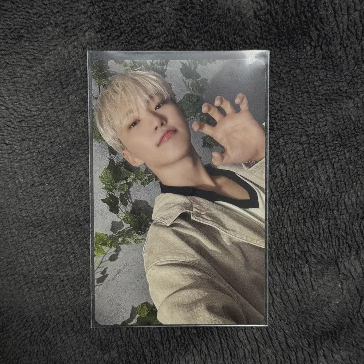 

Seventeen Дата истечения срока действия Ограниченный выпуск B