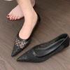 Mesh Women Heeled Shoes Pointed Toe Low Heels Shoes Dress Shallow Woman Sandals 2025 Summer New Luxury Chaussure Femme