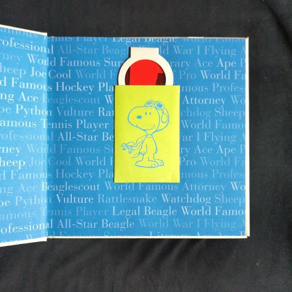 [USED] Two extremely rare books: English Snoopy Charlie Brown, used books, interior design