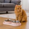 Stainless Steel Pet Food Bowl Leakproof Pet Dog Feeder Simple Dog Food Dispenser  For Cats Dogs