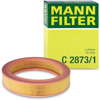 MANN Air Element Part (Mann Filter) / Number C2873/1 C2873/1
