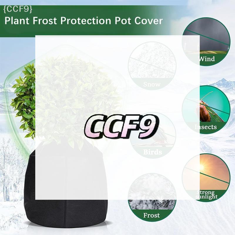Prevent Frost Damage: Oxford Cloth Winter Covers for Garden Shrubs and Trees.