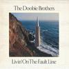 LP Record DOOBIE BROTHERS  Livin On The Fault Line BSK3045 WARNER BROS 1977 US Rock Used