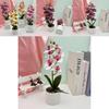 Butterfly Orchid Artificial Potted Plant For Wedding Decor And Photography Props